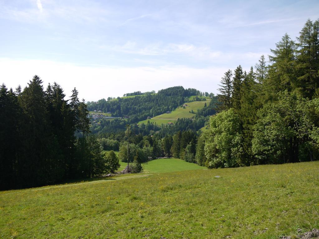 Hirschen Wald - Gasthaus & Baeckerei Exterior foto